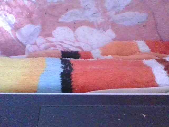 Phaniah1a webcam
