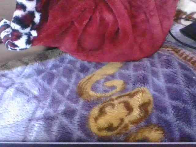 Phaniah1a webcam