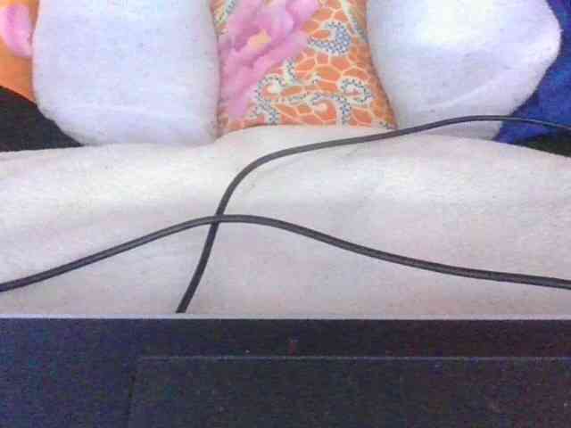 Phaniah1a webcam