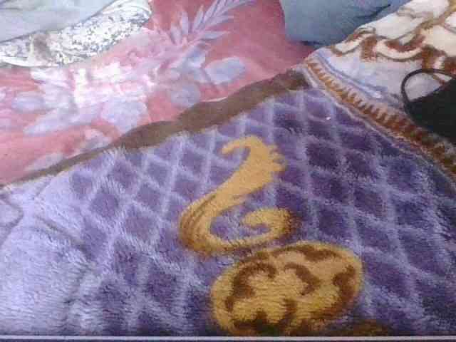 Phaniah1a webcam