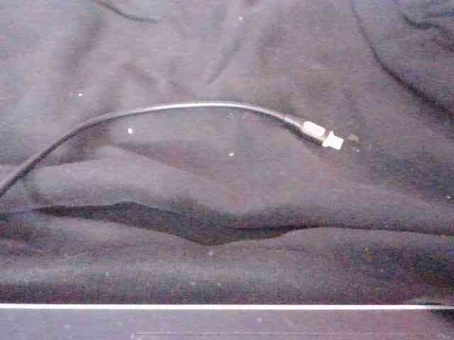 Phaniah1a webcam