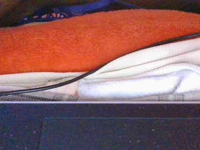 Phaniah1a webcam