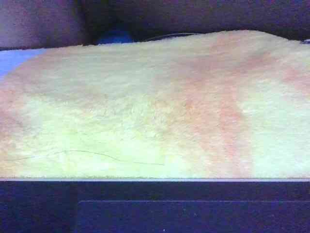 Phaniah1a webcam