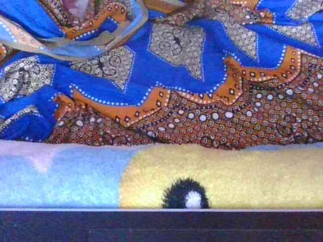 Phaniah1a webcam