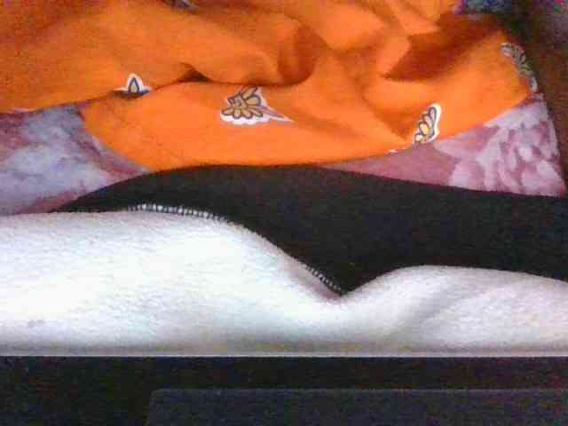 Phaniah1a webcam