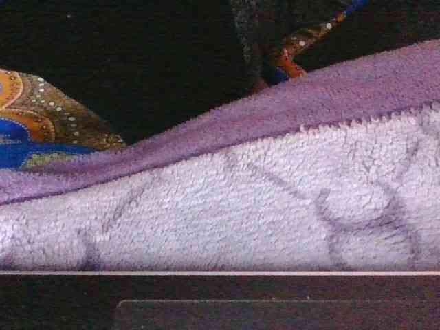 Phaniah1a webcam