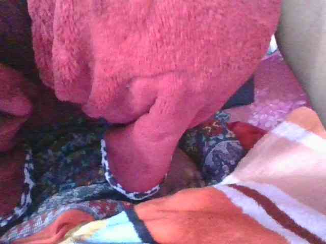 Phaniah1a webcam