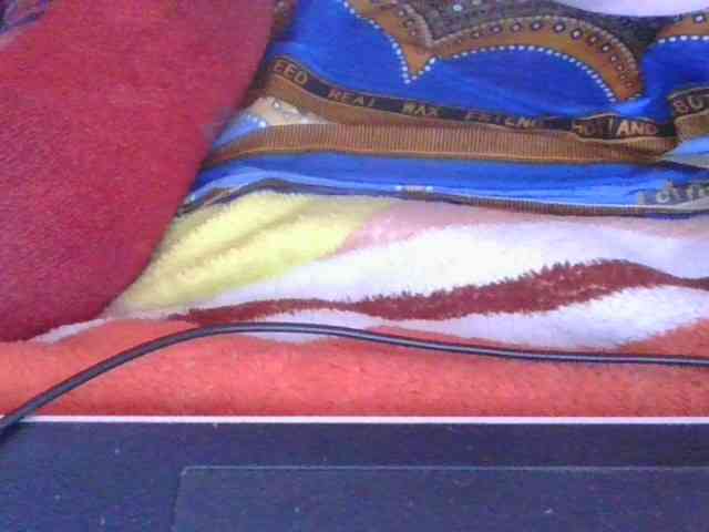 Phaniah1a webcam