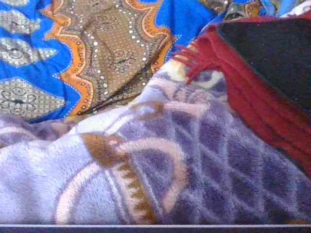 Phaniah1a webcam
