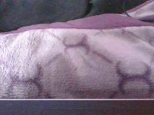 Phaniah1a webcam