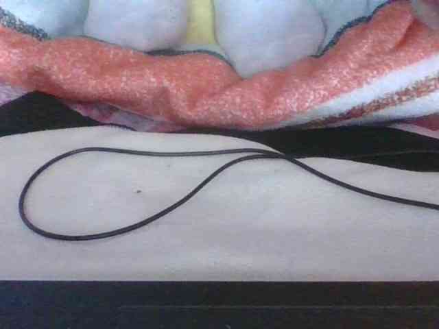Phaniah1a webcam