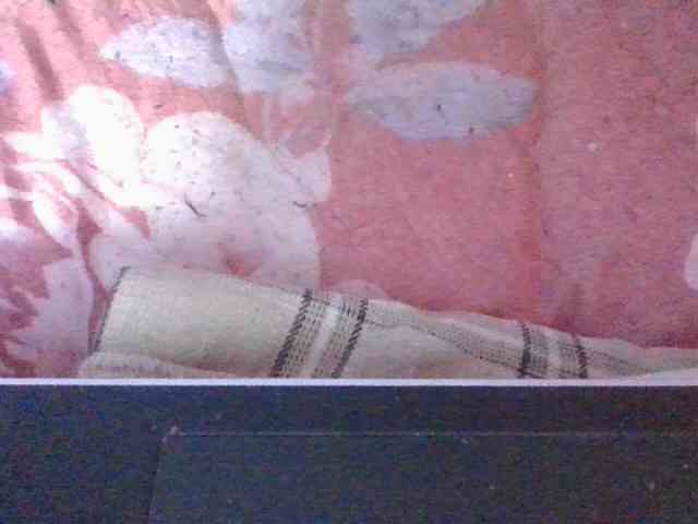 Phaniah1a webcam