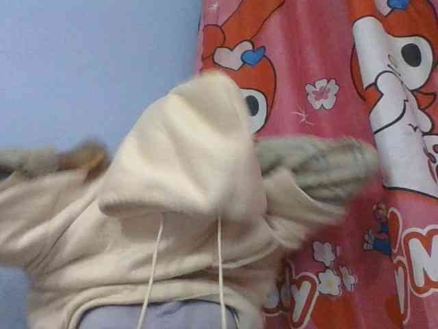 Phaniah1a webcam