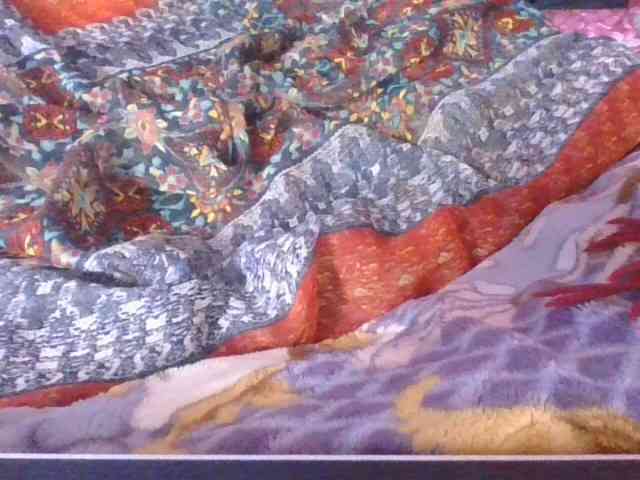 Phaniah1a webcam