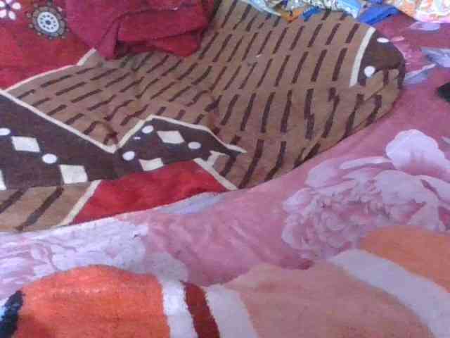 Phaniah1a webcam