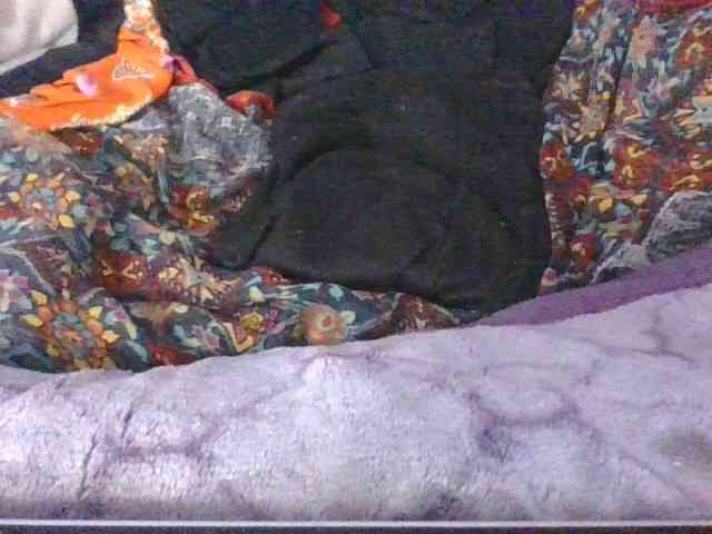 Phaniah1a webcam
