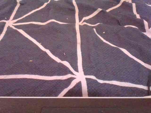 Phaniah1a webcam
