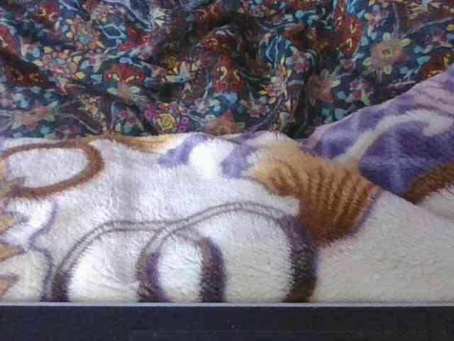 Phaniah1a webcam