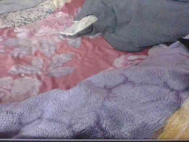Phaniah1a webcam