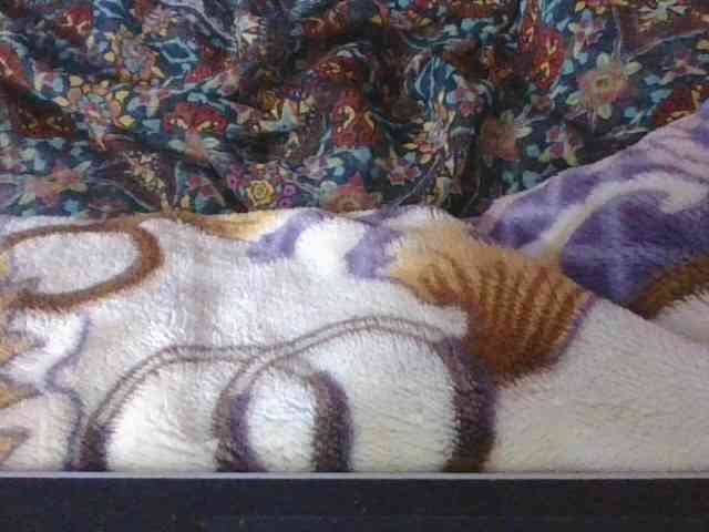 Phaniah1a webcam