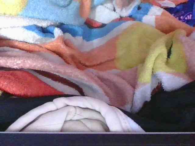 Phaniah1a webcam