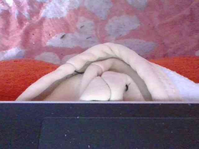 Phaniah1a webcam