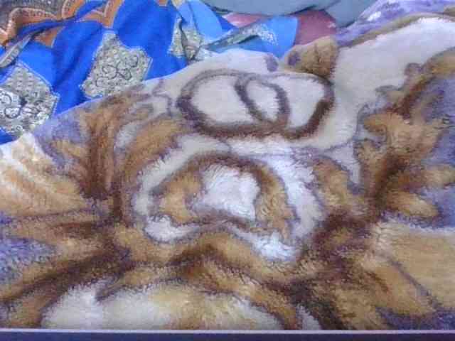 Phaniah1a webcam