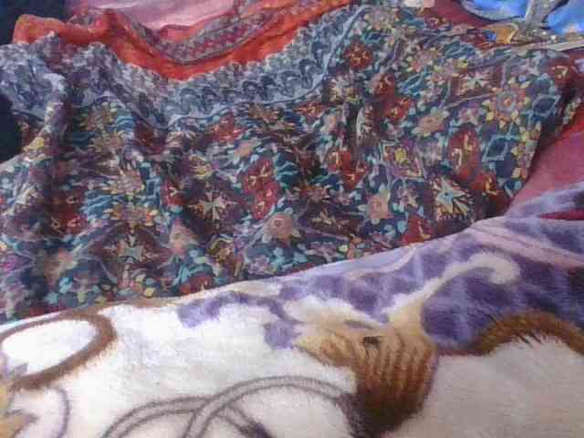 Phaniah1a webcam