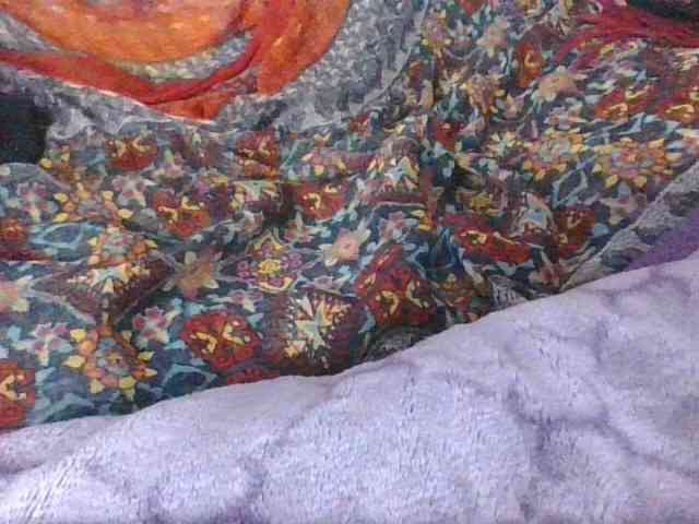 Phaniah1a webcam