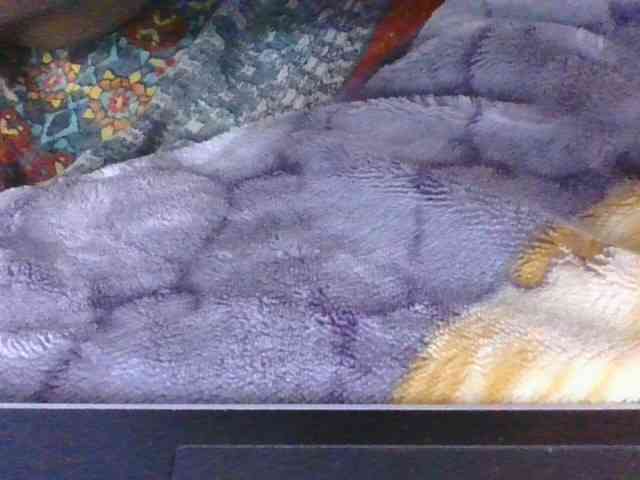 Phaniah1a webcam