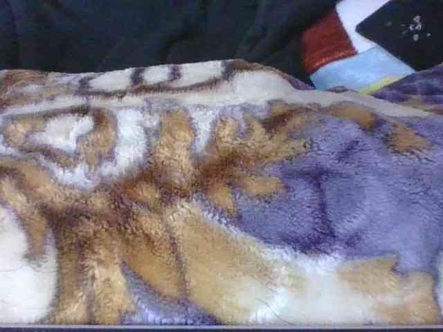 Phaniah1a webcam