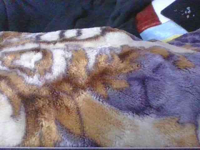 Phaniah1a webcam