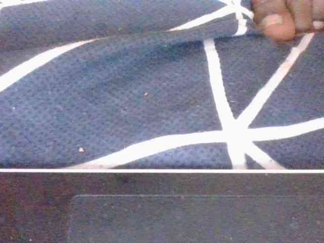 Phaniah1a webcam