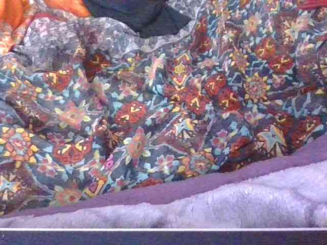 Phaniah1a webcam