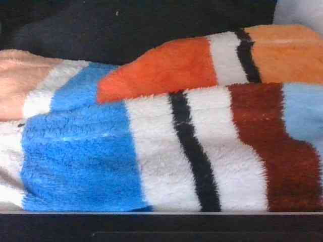 Phaniah1a webcam
