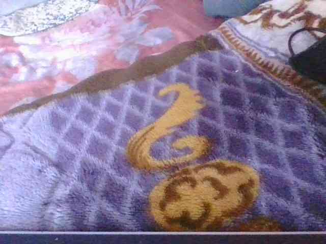 Phaniah1a webcam