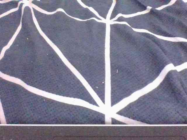 Phaniah1a webcam