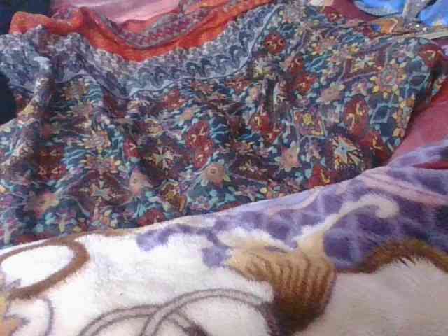 Phaniah1a webcam