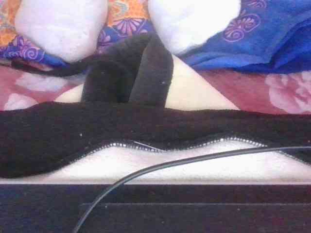 Phaniah1a webcam