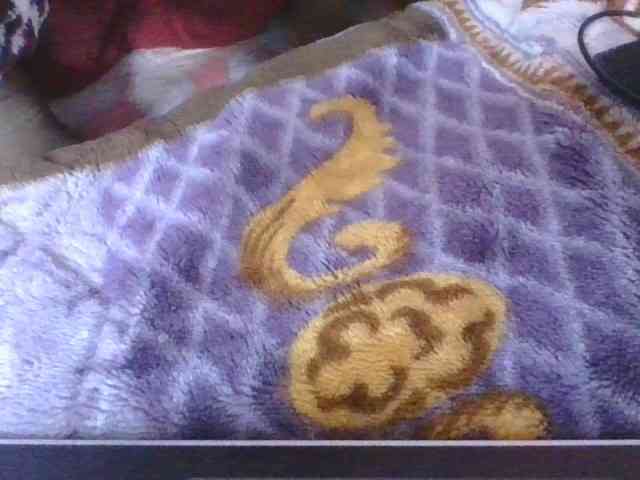 Phaniah1a webcam