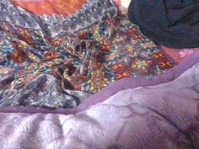 Phaniah1a webcam