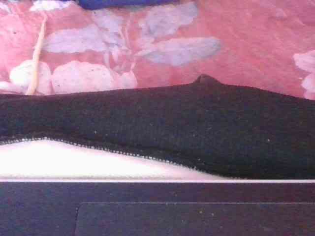 Phaniah1a webcam