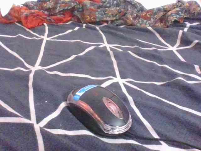 Phaniah1a Live Webcam on BongaCams