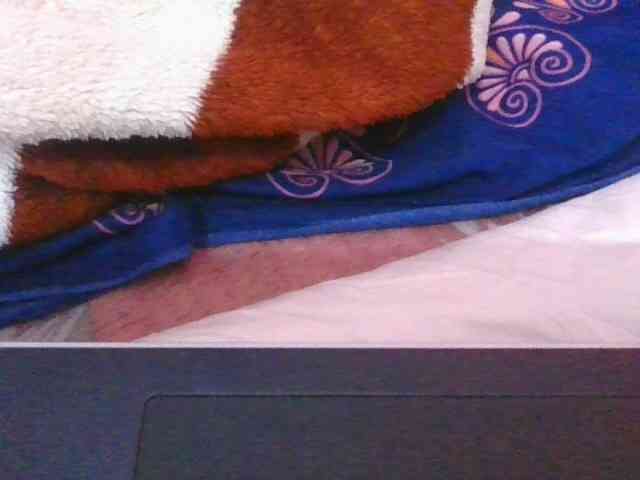 Phaniah1a webcam