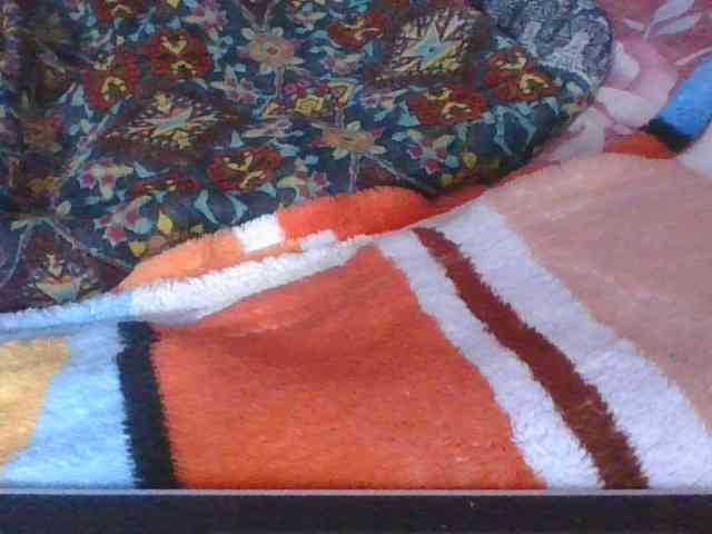 Phaniah1a webcam