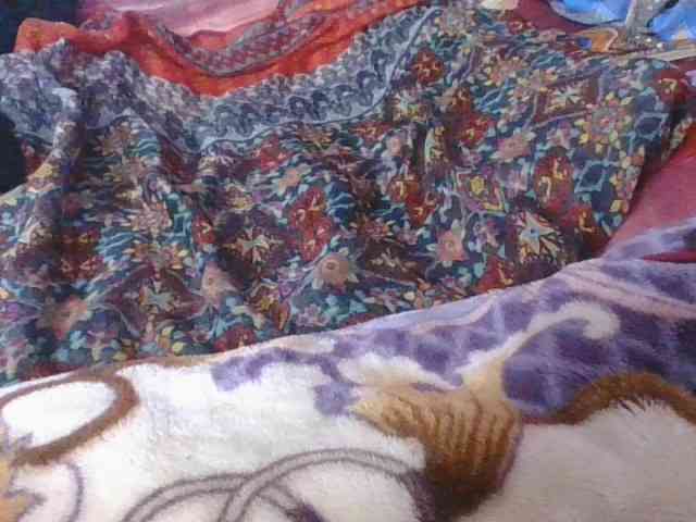 Phaniah1a webcam