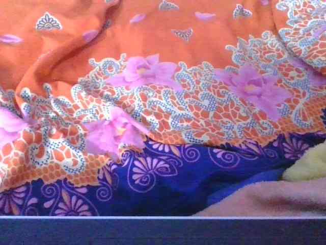 Phaniah1a webcam
