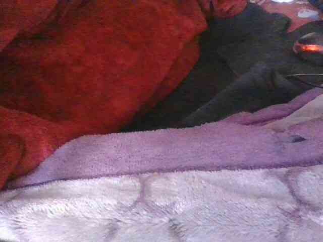 Phaniah1a webcam