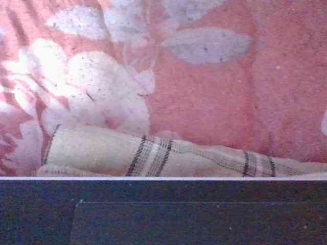Phaniah1a webcam