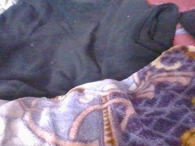 Phaniah1a webcam